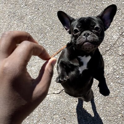 3033E325-481D-437E-BE79-34C6EC1A4A7B