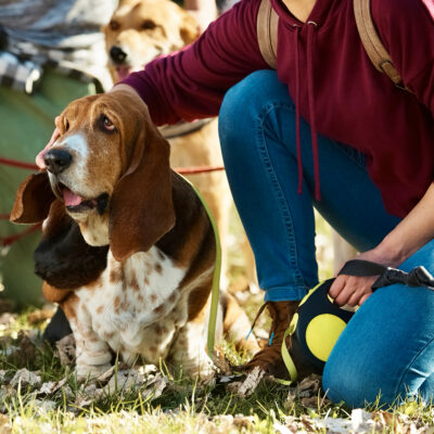 97D8F324-A5AF-4A9F-832F-CDBC24E4AB87