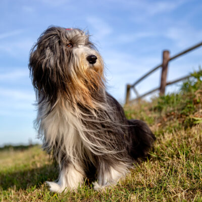 57802F29-36E5-4A86-BF70-E42C197D2ADD