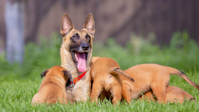 B9B93EDA-5597-4C4C-8614-6BB6B6857149