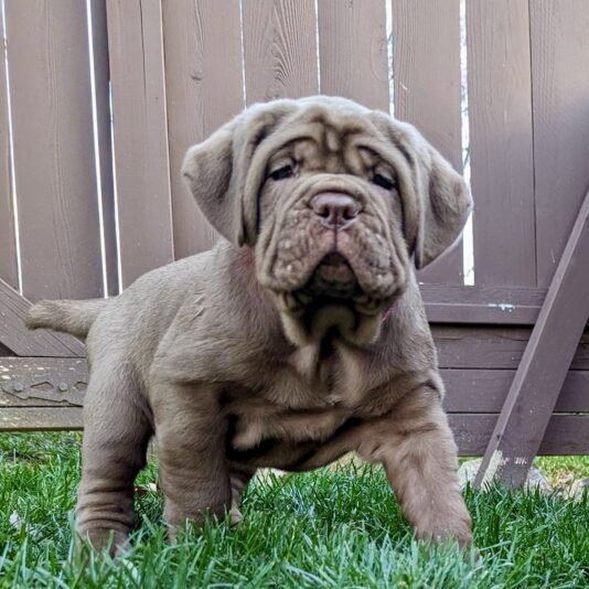 61BE22A8-1B95-4A24-9F8E-48C3311E6177