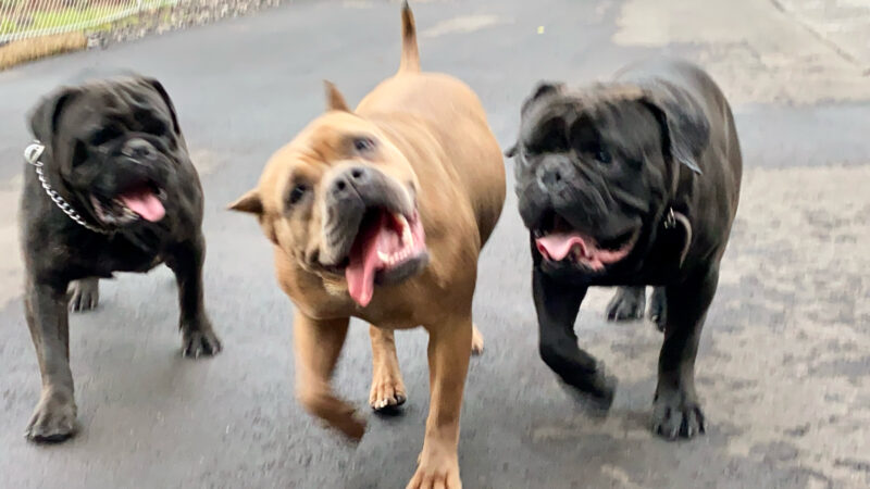 79AEDE0E-B88E-419D-92CA-611085485F16