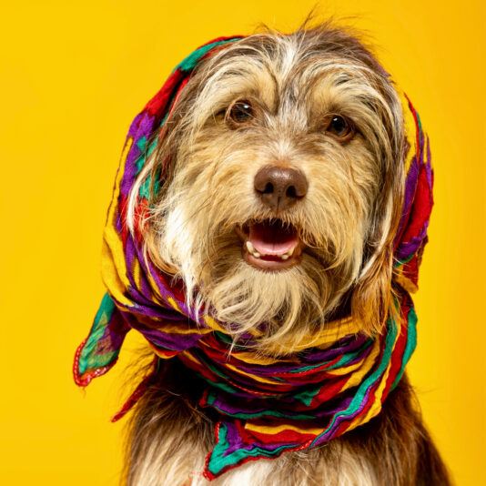 3E6DB431-6146-4D02-B219-8F58338CA6E7