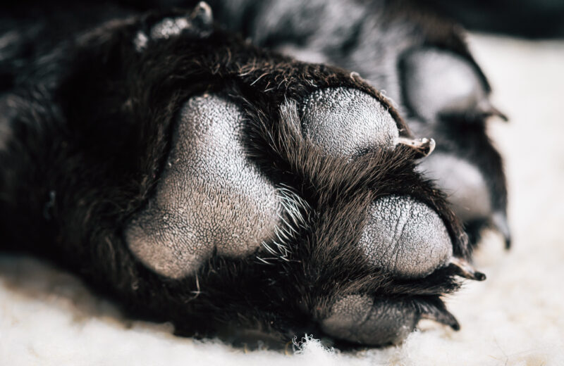 8A668558-E81B-4178-AF4B-8E283EFA9833