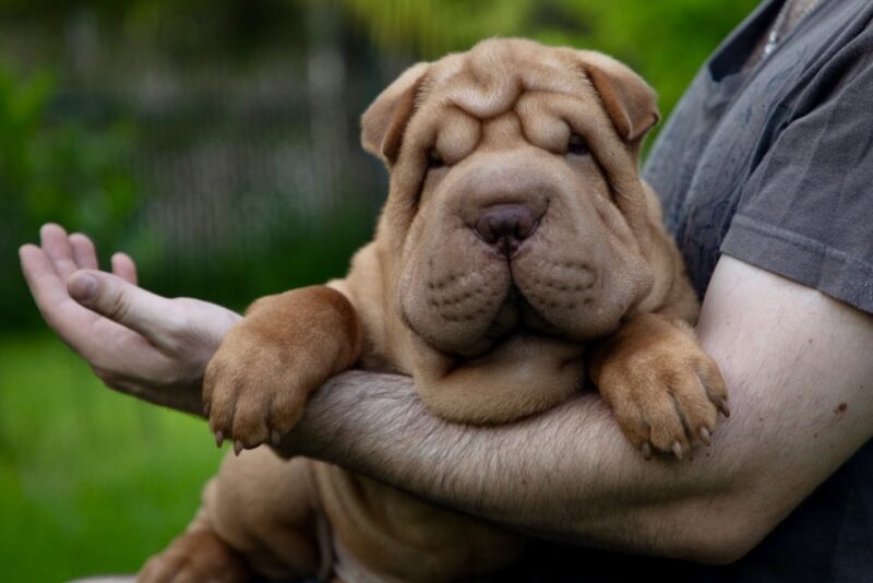 dd4ff2c4-39e9-465d-8e2d-7dd6d7e608f1