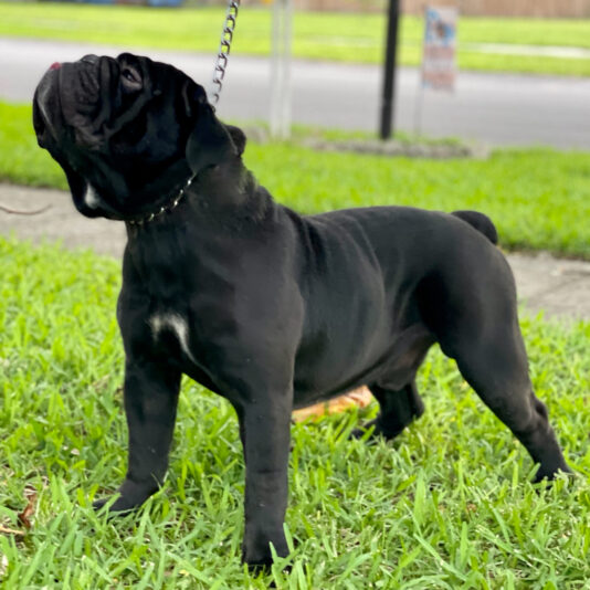 ADC29762-CD89-4C6A-9528-B4DC180ED139