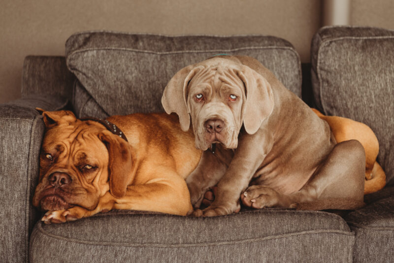 E8070716-16B1-4416-B44E-DA855E6747B2