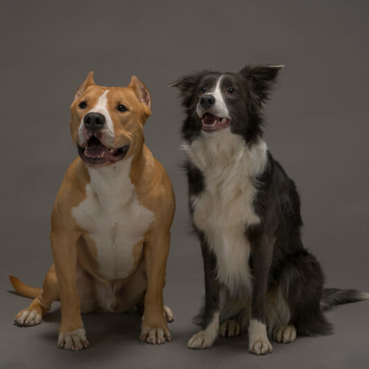 E7166F41-6997-4B38-96B6-C85DADD8EC8D