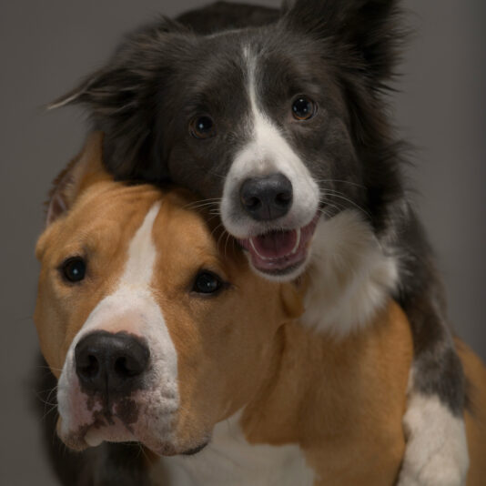 F24738EE-D9D4-46F9-B25F-8830110E6243