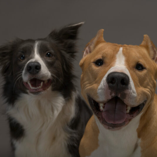 8654CB5B-AA75-4FC5-915E-DA2EF6C897C8