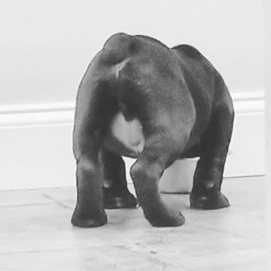 IMG_20180413_193251_789_Original