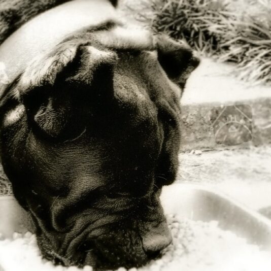 20180509_112708_20180628194344598_Original