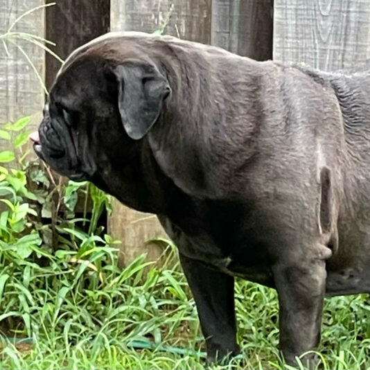 36FF3E77-F31E-481A-86F7-19D43A3D923A