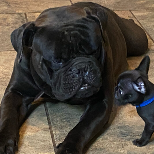 A540B997-6A11-4428-B860-41F32450BC1B