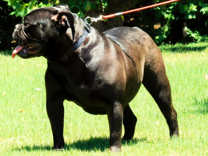 432BDD81-F2E0-4A2C-A5EA-DDCA6E7DAF74