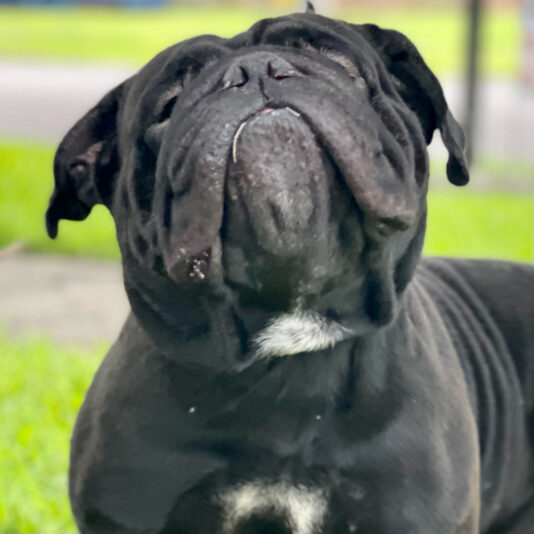 78109358-104E-43B1-861F-ADE2BF8DAA76