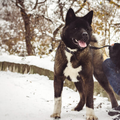 596DE532-21F9-4899-8EBB-5026BF201B69