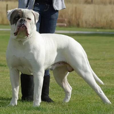 2A713869-BE76-4EB9-A285-C910D78A8F6D