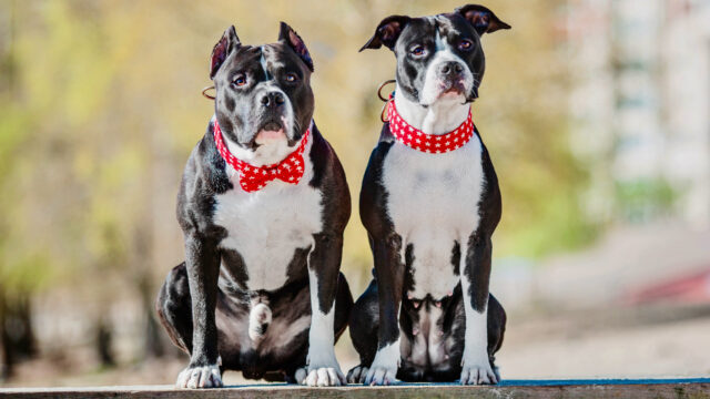 76788E06-134A-46F9-A046-62393E383E86