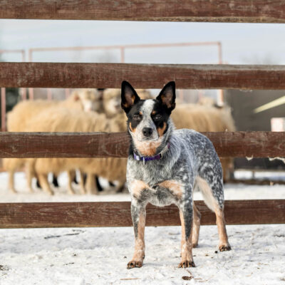 10C88295-6676-4FF8-BC5C-9BC38B5F872F